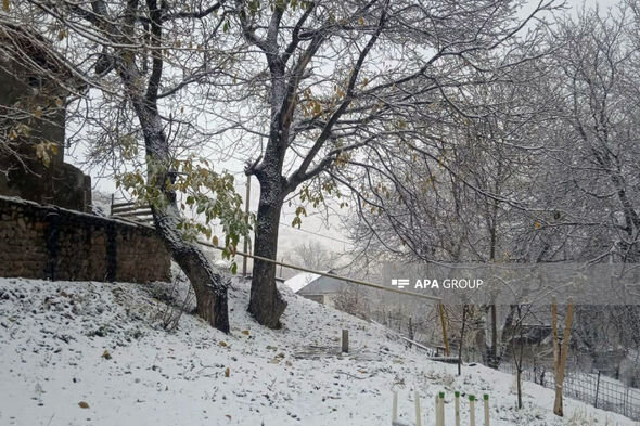 Naxçıvana qar yağıb - FOTO
