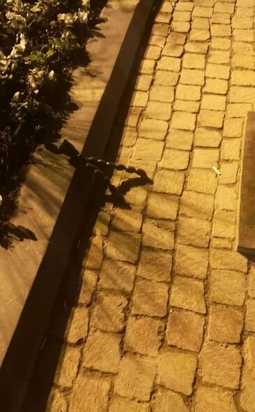 Hacı Zeynalabdin Tağıyevin heykəli zədələndi - FOTO