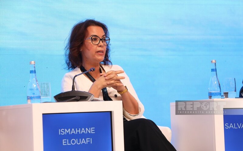 İsmahane Eluafe: Müasir çağırışlar bərabərsizlik üçün şərait yaradır