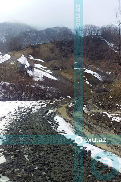 Qubada məktəblilər dərsə getmək üçün meşədən keçirlər - FOTO/VİDEO