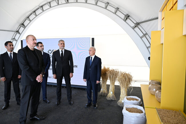 İlham Əliyev İmişliyə getdi - Fotolar