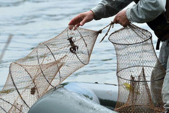 İsveçdə xərçəng vəbası ilə bağlı əhaliyə XƏBƏRDARLIQ