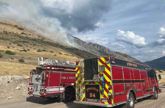 Hörümçəyi öldürmək istədi - 16 hektar meşəni yandırdı - FOTO