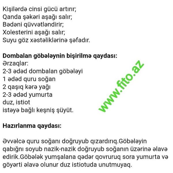 Kartofa bənzəyən bu göbələk cinsi gücü artırır - FOTO