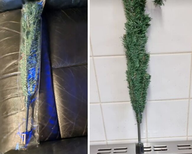 "Yolka" sifariş etdi - Görün nə gətirdilər - FOTO-VİDEO