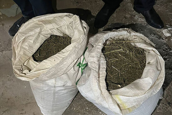 Bakı sakinindən 20 kiloqrama yaxın marixuana aşkarlandı - FOTO