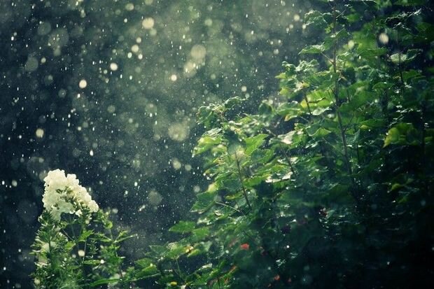 Bakıda və rayonlarda duman olacaq, yağış yağacaq