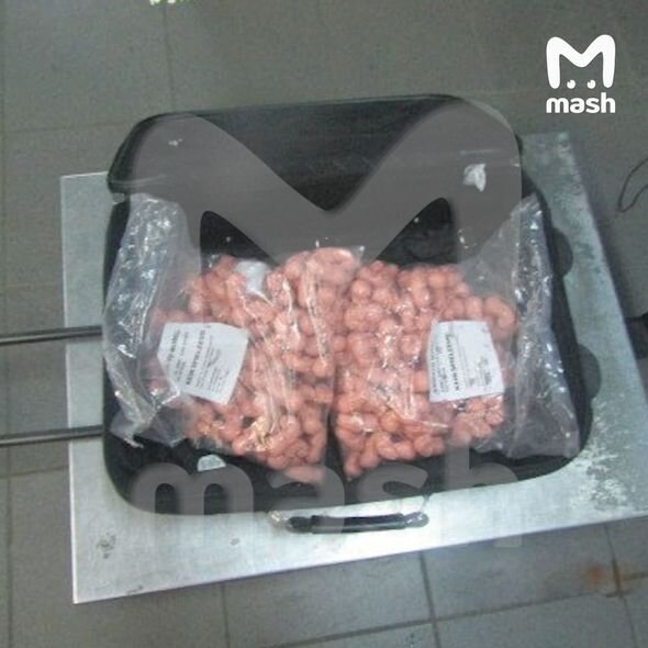 Qadının çantasından yüzlərlə insan embrionu tapılıb - FOTO