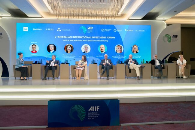 "Kritik xammal və qlobal iqtisadi təhlükəsizlik" mövzusunda panel sessiya keçirilib