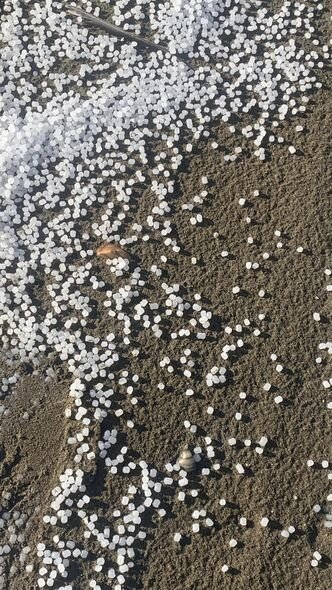 Xəzərin sahilinə plastik qranulları kim "səpələyib"? - FOTO