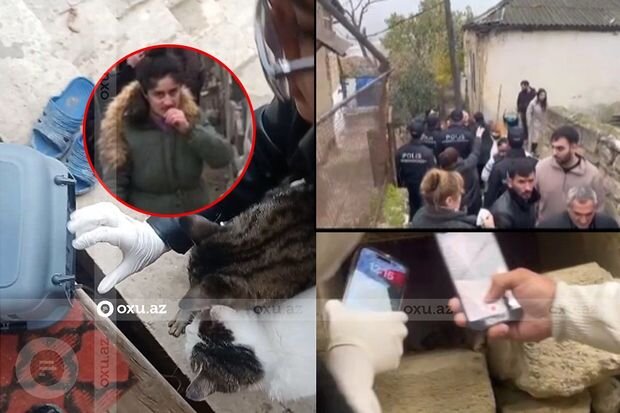 Azərbaycanda DƏHŞƏT: Qadın pul yığmaq üçün pişiklərə işgəncə verirmiş - İDDİA +FOTO/VİDEO