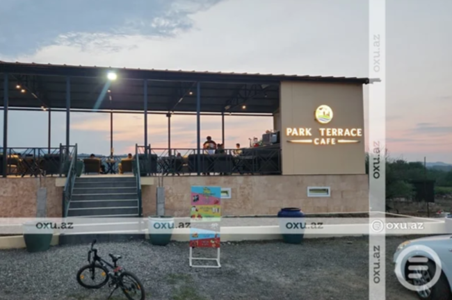 Masallıda restoran rəhbərliyi ağacların kökündən çıxarılmasına görə CƏRİMƏLƏNDİ - FOTO