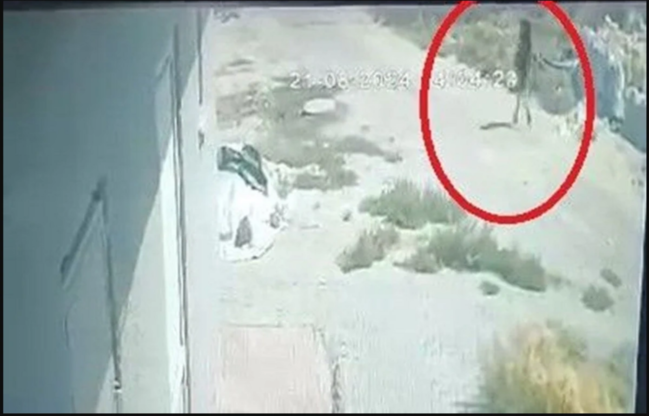 Türkiyədə vəhşicəsinə öldürülən Narin Güranın son görüntüləri - FOTOlar