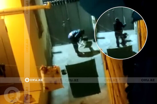 Bakıda kişi hər gün iti amansızlıqla döyür - VİDEO