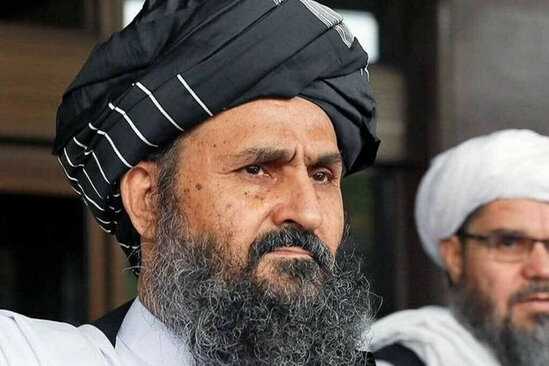 "Taliban" marixuananın yetişdirilməsini qadağan etdi