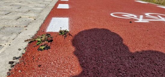 Bakıda "kreativ" velosiped yolu: Böyrək daşının düşməsinə faydalıdır - FOTO/VİDEO