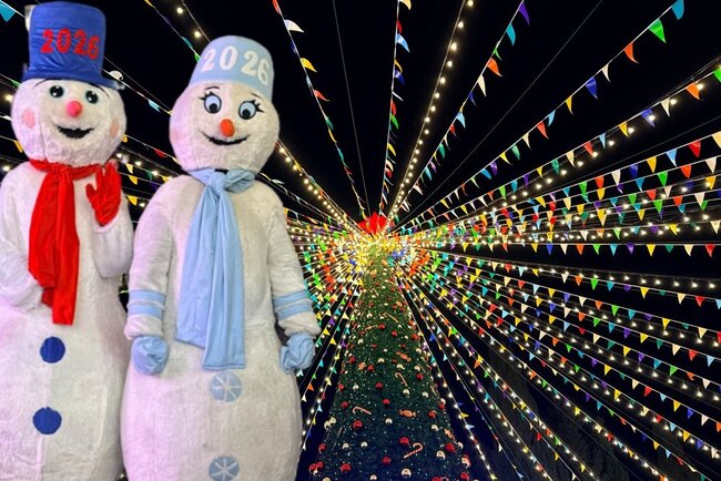 Yanvarın 1-də Bakıda avtobuslar saat 01:30-dək işləyəcək