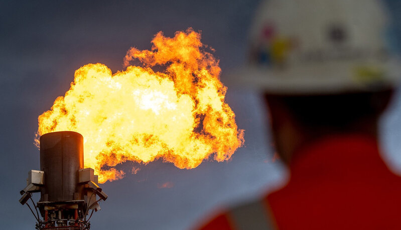 Qazın qiyməti ilə bağlı VACİB AÇIQLAMA: 100 dollardan çox...