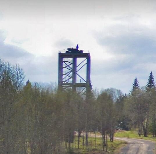 Putinin arvadı və uşaqları belə qorunur - Foto