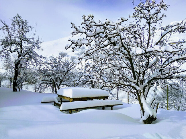 Bəzi yerlərdə qarın hündürlüyü 35 sm-a çatıb - FAKTİKİ HAVA