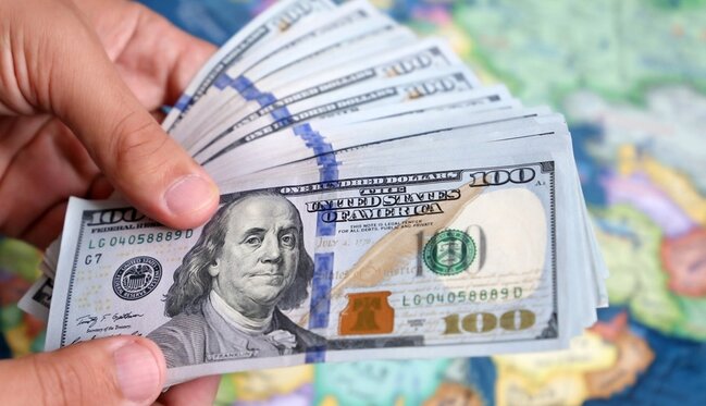 "Zeytun Pharma"nın rəhbəri ölkədən nə qədər valyuta çıxarıb?