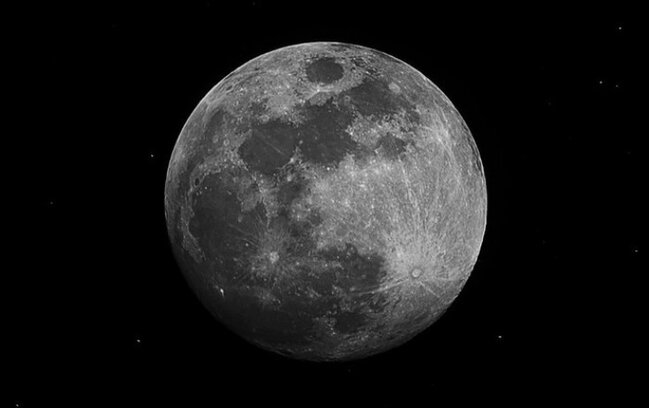 Nəsli kəsilməkdə olan növlər Aya göndərilə bilər