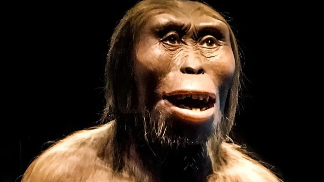 Tarixi dəyişdirən kəşf: İnsanlığın "itmiş halqası" Lusi taxtından enir?