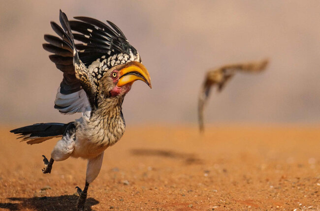 Gülmək istəyirsinizsə, bu fotolara baxın