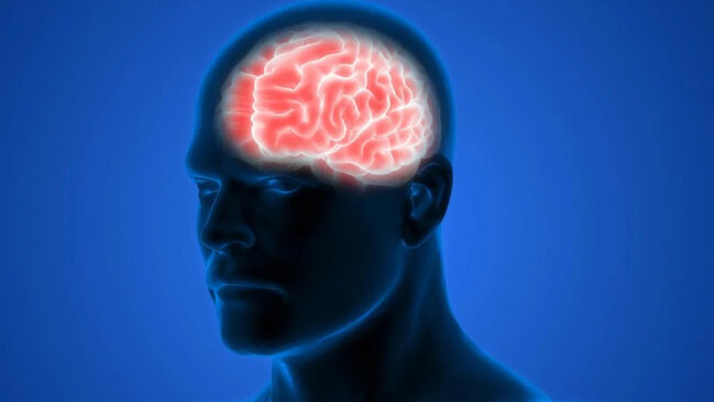 Qərar qəbul etmə zamanı beynin tam aktivliyi necə olur? - Alimlər kəşf etdi