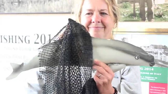 Dünyada bu heyvandan cəmi 10 ədəddir - FOTO