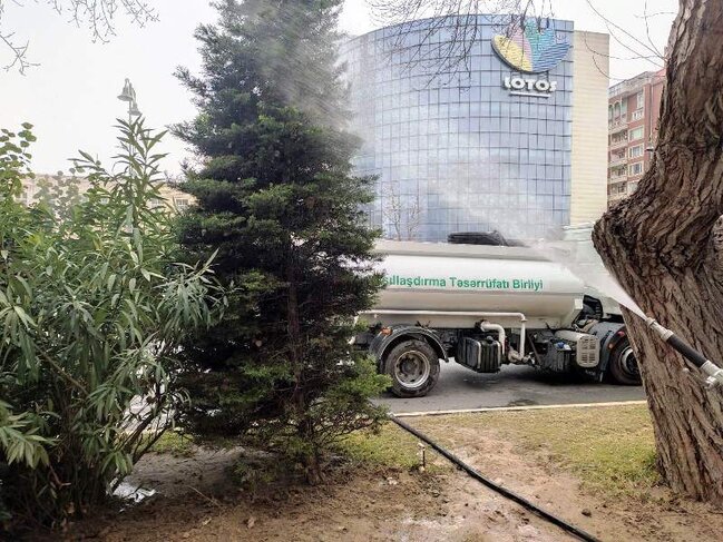 Paytaxtda ağaclar budanır və yuyulur