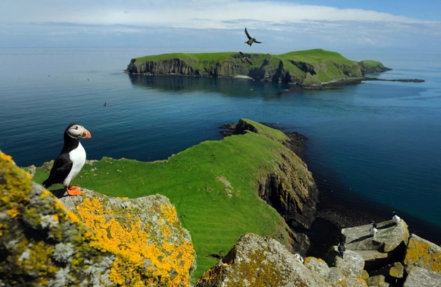 Starmer öz qanun layihəsini Trampa görə geri götürdü
