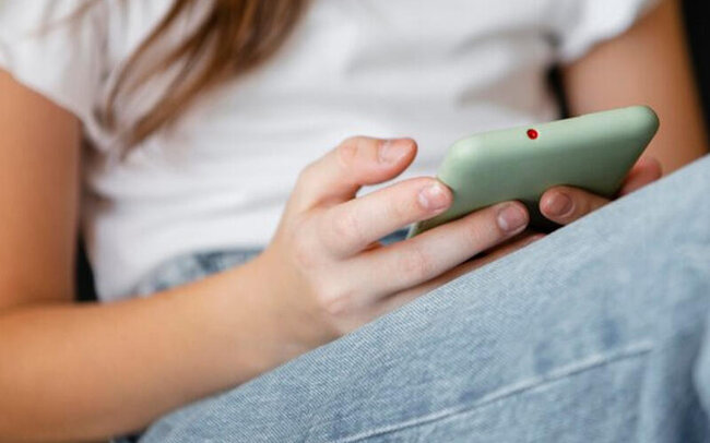 Sosial şəbəkələrdə təhqirə görə hansı cəzalar gözləyir?