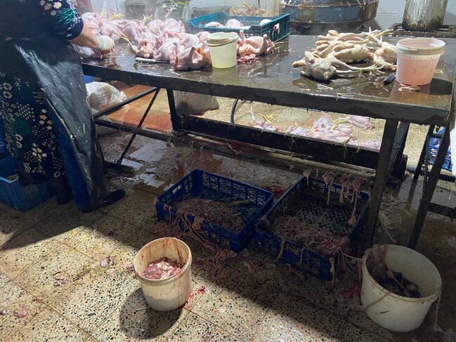 "Kənd toyuqları"nı bu vannalarda "istehsal edirmişlər" - Fotolar