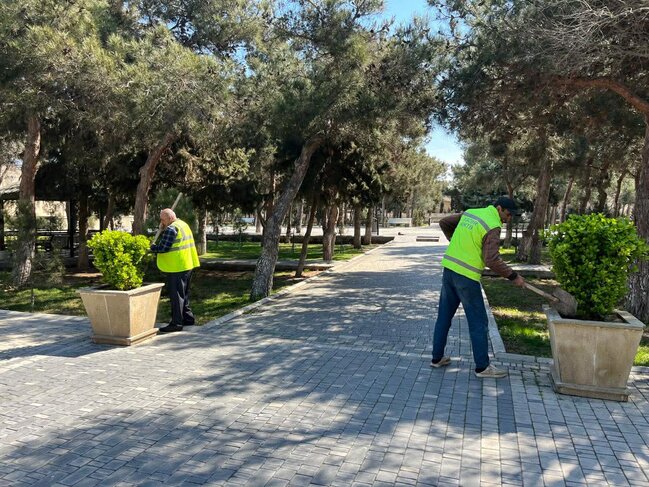 Paytaxtda növbəti daxili iməclik keçirilib