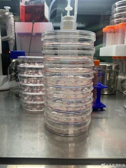 Oğlunu sağaltmaq üçün evində laboratoriya düzəltdi - FOTO