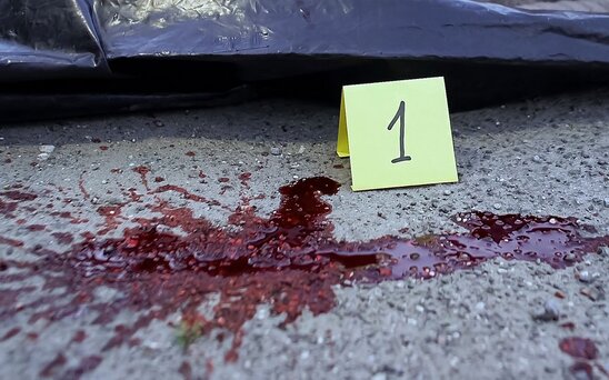 Polşada ukraynalı qadın qarət edilərək öldürülüb