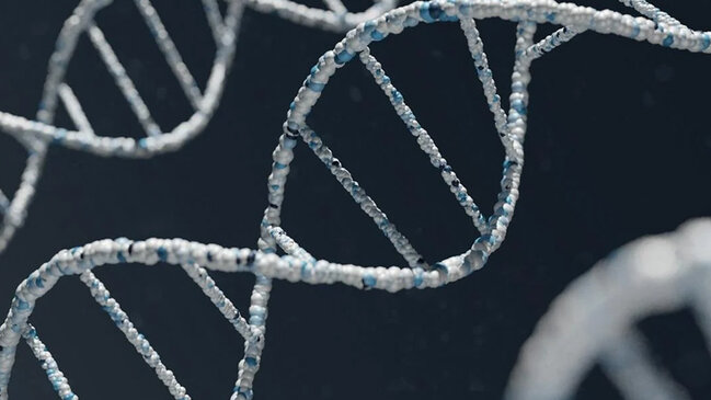 Bəşəriyyətin məhvinə səbəb ola bilər: Alimdən təhlükəli texnologiya ilə bağlı xəbərdarlıq