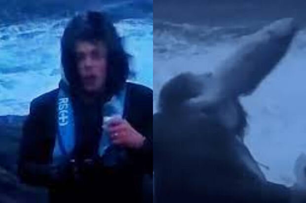 "Uçan" balıq sahilyanı ərazidə reportaj hazırlayan jurnalistin üzünə çırpıldı - VİDEO