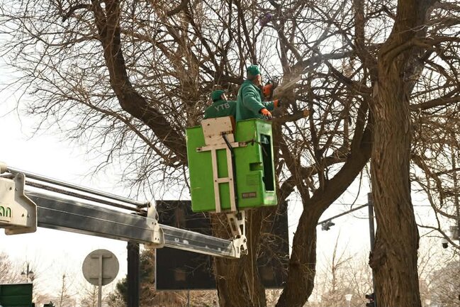 Bakıda Novruz ərəfəsində geniş təmizlik işləri aparılıb