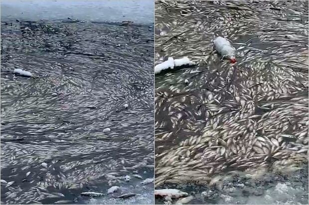 Sakinlər qorxulu mənzərənin şahidi oldular -VİDEO