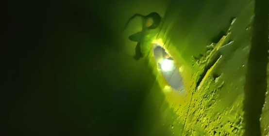 10 gündür itkin düşən şəxs quyuda sağ və çılpaq vəziyyətdə tapıldı- Başına gələnlər ARAŞDIRILIR-VİDEO