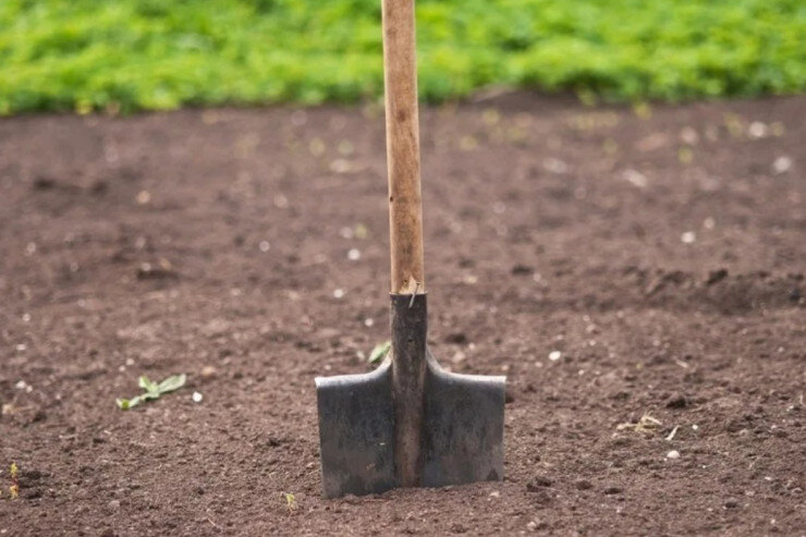 Arvadı ilə birləşib sevgilisini diri-diri basdırdı - film kimi QƏTL