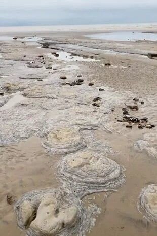 Uşaqları ilə sahildə gəzən ana dinozavr izləri tapdı - FOTO/VİDEO