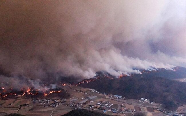 Cənubi Koreyada yanğınlar nəticəsində ölənlərin sayı 30 nəfərə çatıb