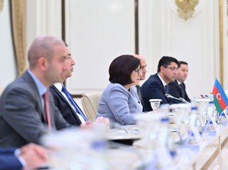 Sahibə Qafarova AŞ-ni Azərbaycan-Ermənistan münasibətlərinin normallaşmasına dəstək verməyə çağırıb