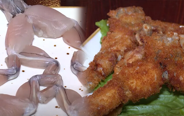 Bakıda məşhurlaşan qurbağa əti- "Zəhərli maddələr çoxdur"