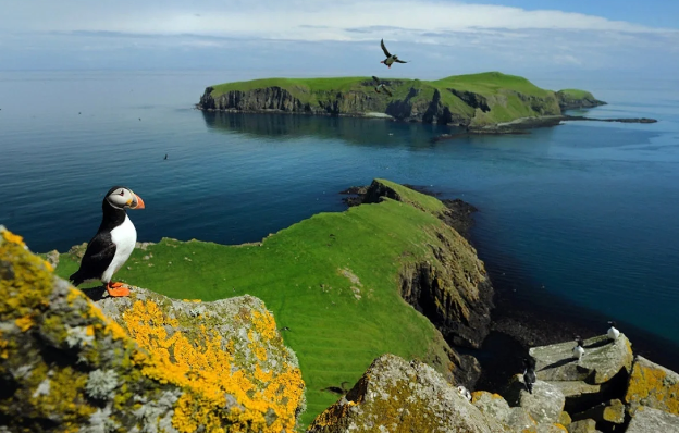 Argentina Böyük Britaniyanı Malvin adaları üzrə danışıqları bərpa etməyə çağırdı
