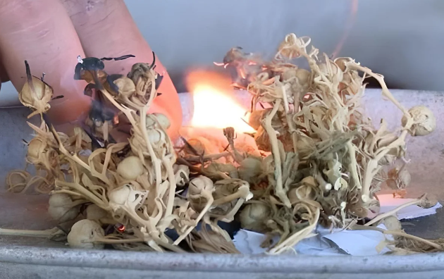 Nazirlik ÜZƏRLİKLƏ BAĞLI əhaliyə müraciət etdi