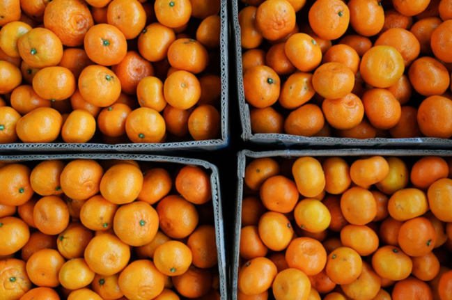 Naringinin qabığının gizli təhlükəsi: Dietoloq xəbərdarlıq etdi
